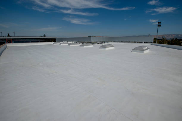 Best Skylight Installation and Repair  in Martins Ferry, OH
