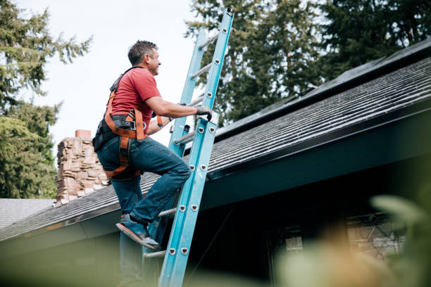 Best Steel Roofing  in Martins Ferry, OH