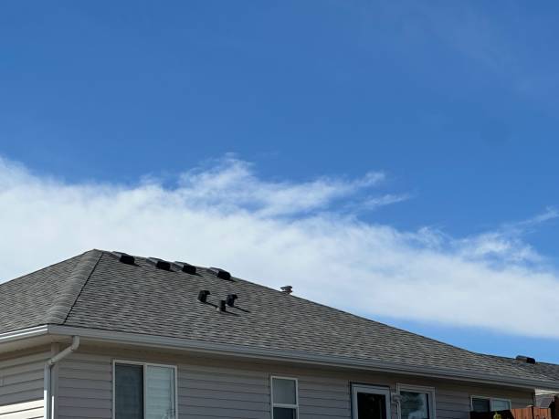 Best Rubber Roofing (EPDM, TPO)  in Martins Ferry, OH